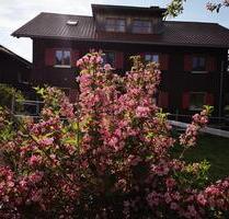 Gemütliche 2 Zimmer Wohnung mit Terrasse - Immenstadt im Allgäu