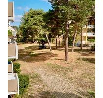 3 Zimmer Wohnung in Ingelheim am Rhein