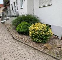 Ruhige 3 Zimmer Wohnung am Ortsrand von Dolgesheim - Mommenheim