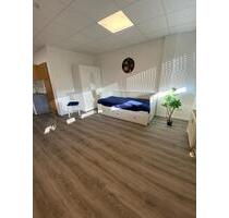 LU City- Möbliertes und renoviertes 1 Zimmer Apartment ca. 30qm - Ludwigshafen am Rhein