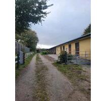 2 Zimmer Wohnung auf Pferdehof - 300,00&nbsp;EUR Kaltmiete, ca.&nbsp; 55,00&nbsp;m&sup2; in Cuxhaven (PLZ: 27476) Duhnen