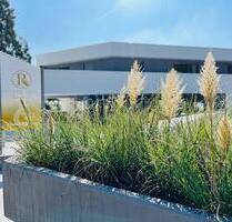 2-Zi. Serviced-Apartment (auf Wunsch möbliert) mit TG-Stellplatz in Traumlage am Kapellenberg! - Hofheim am Taunus