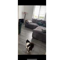 2 Zimmer Wohnung in Oberhausen ab 01.09!