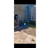 mietwohnung 78qm kernsaniert 3,5 zimmer balkon solaranlage garten - Duisburg Hamborn