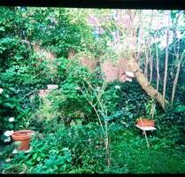 Kleines WG-Zimmer 2Min. zur U-Bahn mit Garten nähe Osterstr. - Hamburg Sternschanze