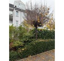 2 Zimmer Wohnung in Lörrach Tumringen - Rheinfelden (Baden)