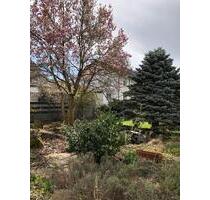 4 Zimmer Küche Bad 107 qm mit Garten in Stutensee