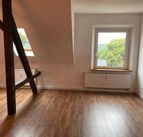 Helle 2-Zimmer Wohnung mit Balkon & Hobbyraum in Plauen