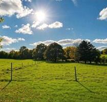 Helle Räume, grüne Umgebung - 4 Zimmer Wohnung in ländlicher Lage - Bad Salzuflen Ehrsen-Breden