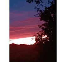 Wohnung in Ruhiger WG auf Resthof - Dörpen