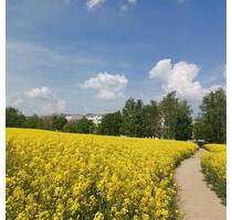 2 Zimmer zum Glück! - 345,00 EUR Kaltmiete, ca.  50,59 m² in Freiberg (PLZ: 09599)