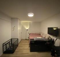 Short Term (2 Monaten) - Moderne 1-Zimmer Wohnung mit Balkon im 5 - Hamburg Rothenburgsort