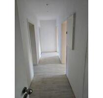 Wohnung 3 12 Zimmer Hamm Pelkum