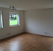 Helle NEU renovierte 1 Zimmer Wohnung in Niefern - Niefern-Öschelbronn