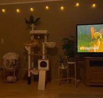 WG-Zimmer in schöner 3,5 Zimmer DG Wohnung - Bad Schwalbach