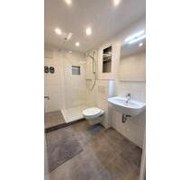 Vermiete 1 Zimmer Apartment möbiliert - Frankenthal (Pfalz)