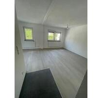 2 Zimmer Wohnung 36qm in Nebringen renoviert mit EBK - Gäufelden