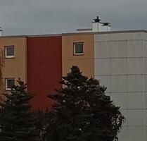 Schöne 3 Zimmer Wohnung, Hildesheim Galgenberg