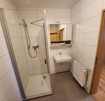 Renovierte 2-Zimmer Wohnung in Ludwigshafen Notwende - Ludwigshafen am Rhein Ludwigshafen-Oggersheim