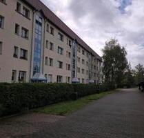 Möblierte lichtdurchflutete 2 Zimmer Wohnung zu vermieten - Wittenberg Lutherstadt