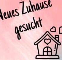 23 Zimmer Wohnung - 750,00 EUR Kaltmiete, ca.  60,00 m² in Gummersbach (PLZ: 51645) Berstig Süd