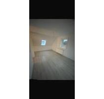 2-Zimmer Wohnung, 58qm, konplett neu aufgebaut - Lauf an der Pegnitz