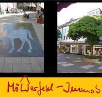 GERNE AUCH AN WG ! ANSPRECHENDE 3ZIMMERWOHNUNG CITY - Hildesheim