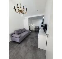 Helles möbeliertes 1 Zimmer Apartment - Oberursel (Taunus)
