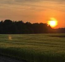 3 Zimmer Erdgeschosswohnung in Eilvese in ruhiger Lage - Neustadt am Rübenberge
