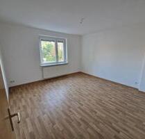 Geräumige 2-Raum-Wohnung in zentraler Lage - VO72 - Schönebeck (Elbe)