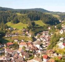 Biete 2 Zimmer Wohnung - 480,00 EUR Kaltmiete, ca.  70,00 m² in Lauterbach (PLZ: 78730)