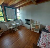 Single-Wohnung 1 Zimmer mit Küchenzeile auf 20 m² ab 01.07 frei - Kirrweiler (Pfalz)
