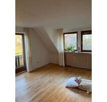 Charmante, lichtdurchflutete Wohnung+ Dachgeschosszimmer Garten - Kulmbach Blaich