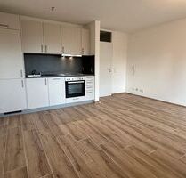 Renovierte 1 Zimmer Wohnung in Waldshut (Bergstadt) zu vermieten - Waldshut-Tiengen