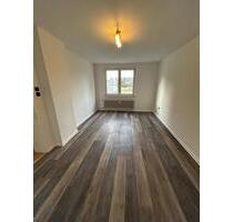 Neu renovierte 3-Zimmer Wohnung im Erdgeschoss zu vermieten - Osterode am Harz