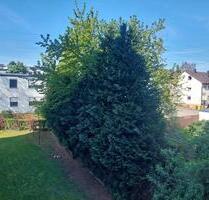Beutelsbach 3,5 Zimmer Wohnung mit EBK und Balkon - Weinstadt