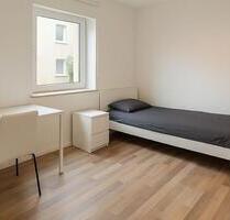 Neuwertig möblierte 1 Zimmer Wohnung Nähe U-Bahn - Fürth Altstadt