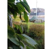 Zimmer mieten - 350,00 EUR Kaltmiete, in Twistringen (PLZ: 27239)