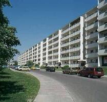 Einfache 2 Zimmerwohnung mit Balkon! - Dresden Blasewitz