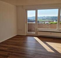 Frisch renovierte 1-Zimmer Wohnung mit tollem Blick über Steinen