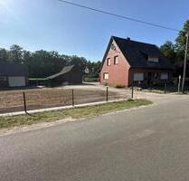 4 Zimmer Wohnung in Lohne - 800,00 EUR Kaltmiete, in Lohne (Oldenburg) (PLZ: 49393)