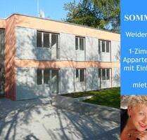 Weiden-Ost > modernes 1-Zimmer Appartement mit Einbauküche - Schirmitz