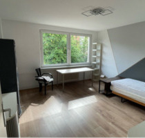 1 Zimmer - WG direkt am kleinen Park - Galluswarte nähe - Frankfurt am Main