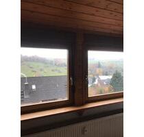 3 Zimmer Dachgeschoss Wohnung 75 qm Südhang - Leidersbach