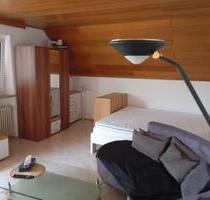 1 Zimmer Appartement - 510,00 EUR Kaltmiete, ca.  35,00 m² in Dillingen an der Donau (PLZ: 89407)