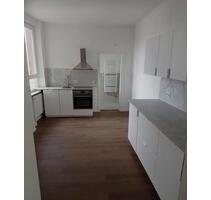 Neu Sanierte 4 Zimmer Wohnung in Worms, auch WG-geeignet