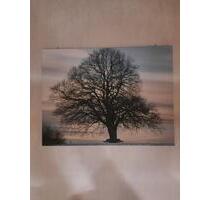 4 Zimmer Wohnung mit Balkon - 800,00 EUR Kaltmiete, in Buch (PLZ: 89290)