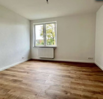 2 Zimmer Wohnung | frisch modernisiert in Hasbergen
