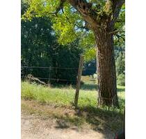 ZIMMER * ZWISCHENMIETE * - 500,00 EUR Kaltmiete, in Freiburg im Breisgau (PLZ: 79115) Haslach