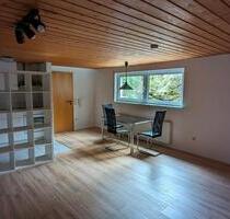 1 Zimmer Einliegerwohnung mit Bad und PKW Stellplatz - Täferrot